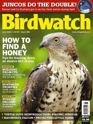 cover image of Birdwatch